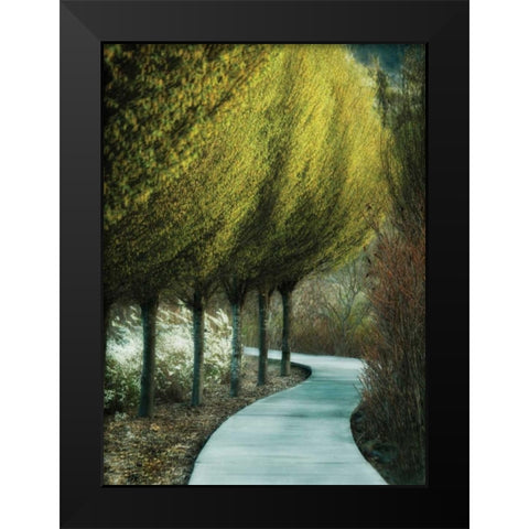 Evening Glow I Black Modern Wood Framed Art Print by Geyman, Vitaly