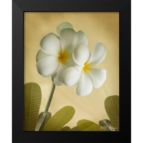Oriental Plumeria I Black Modern Wood Framed Art Print by Geyman, Vitaly