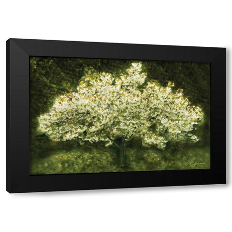 White Cherry Tree II Black Modern Wood Framed Art Print by Geyman, Vitaly