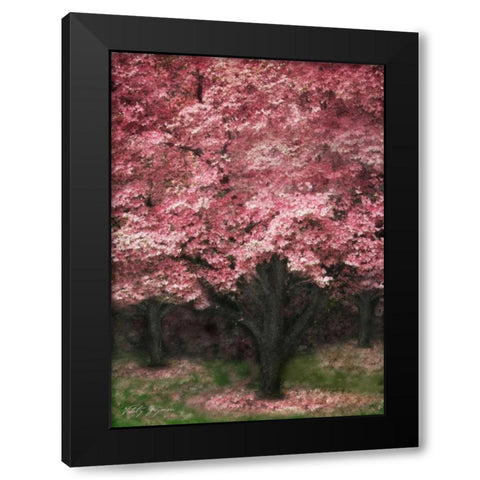 Pink Dogwood III Black Modern Wood Framed Art Print with Double Matting by Geyman, Vitaly