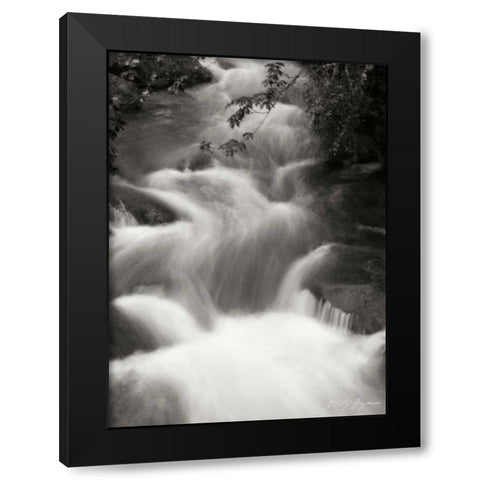Flowing Waters I Black Modern Wood Framed Art Print by Geyman, Vitaly