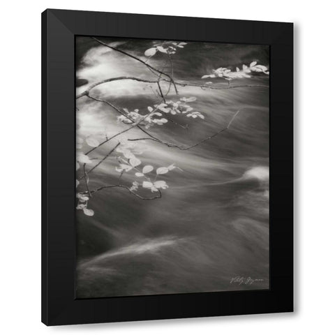 Flowing Waters IV Black Modern Wood Framed Art Print by Geyman, Vitaly