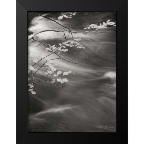 Flowing Waters IV Black Modern Wood Framed Art Print by Geyman, Vitaly