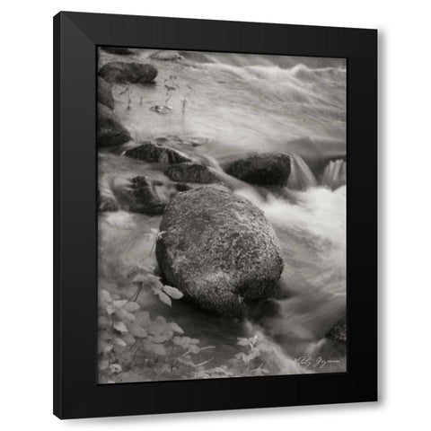 Flowing Waters VI Black Modern Wood Framed Art Print by Geyman, Vitaly