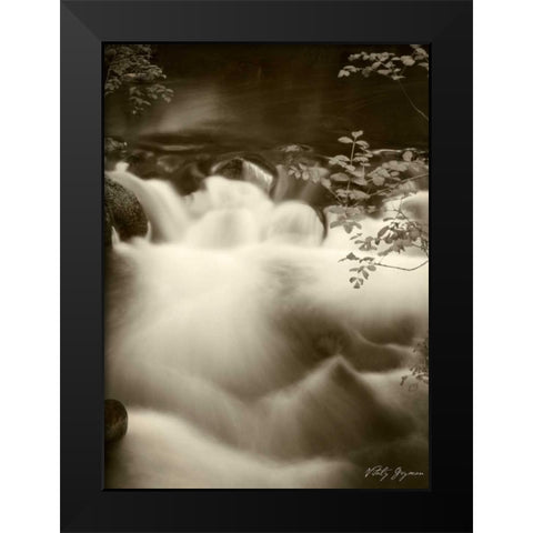 Sepia Waters I Black Modern Wood Framed Art Print by Geyman, Vitaly