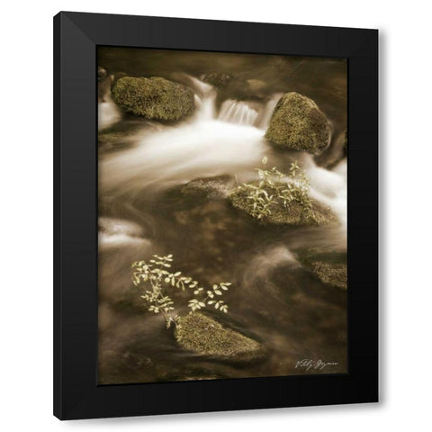 Sepia Waters II Black Modern Wood Framed Art Print by Geyman, Vitaly