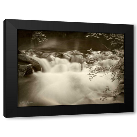 Sepia Waters IV Black Modern Wood Framed Art Print by Geyman, Vitaly