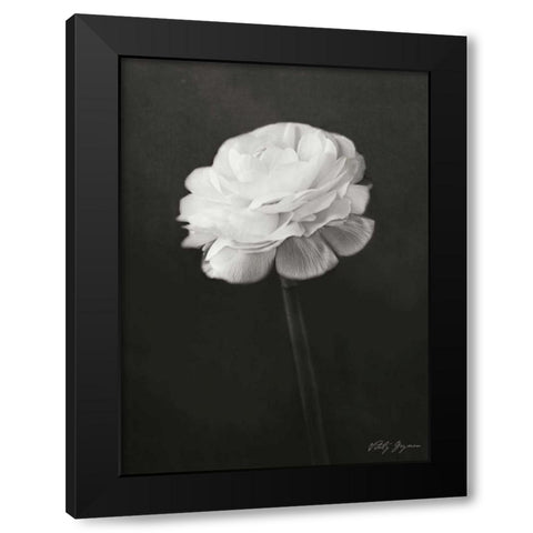 Renunculus Black Modern Wood Framed Art Print with Double Matting by Geyman, Vitaly