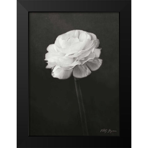 Renunculus Black Modern Wood Framed Art Print by Geyman, Vitaly