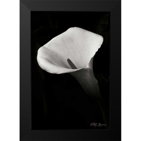 Calla Lily II Black Modern Wood Framed Art Print by Geyman, Vitaly