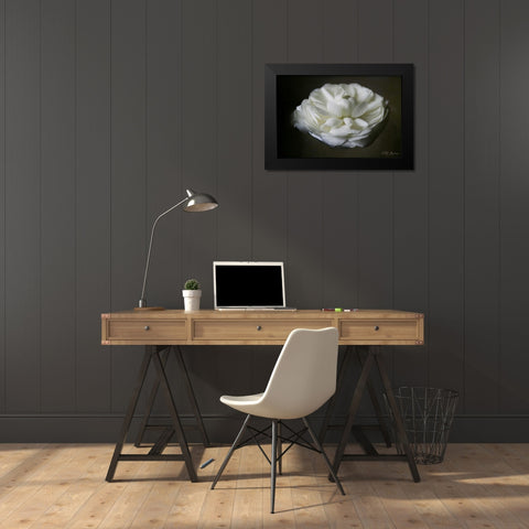 Floating Renunculus Black Modern Wood Framed Art Print by Geyman, Vitaly