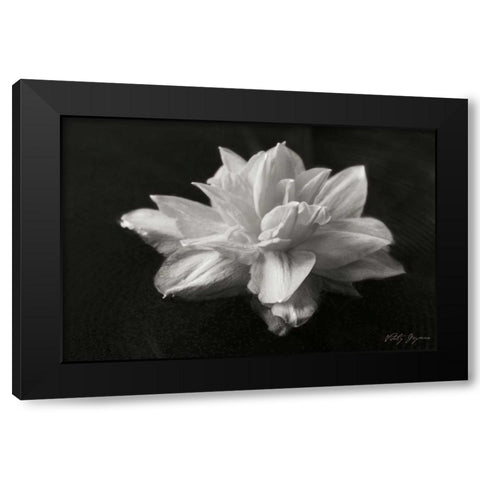 Water Star Black Modern Wood Framed Art Print by Geyman, Vitaly
