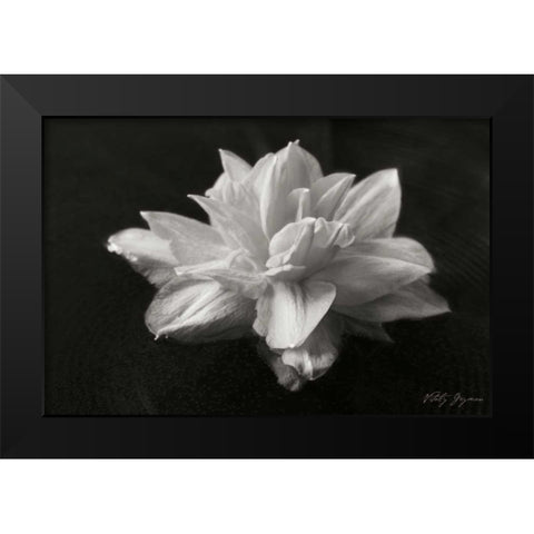 Water Star Black Modern Wood Framed Art Print by Geyman, Vitaly