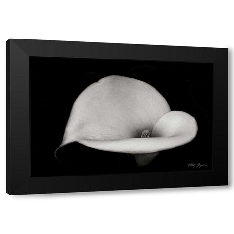 Calla Lily IV Black Modern Wood Framed Art Print with Double Matting by Geyman, Vitaly