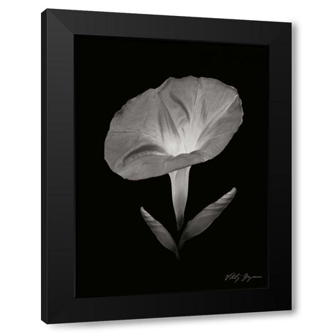 Morning Glory II Black Modern Wood Framed Art Print with Double Matting by Geyman, Vitaly