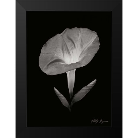 Morning Glory II Black Modern Wood Framed Art Print by Geyman, Vitaly