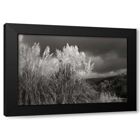 White Towers I BandW Black Modern Wood Framed Art Print by Geyman, Vitaly