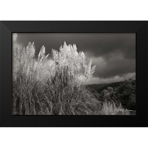 White Towers I BandW Black Modern Wood Framed Art Print by Geyman, Vitaly