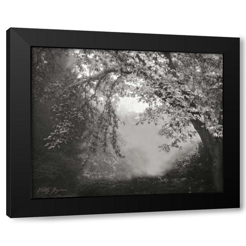 Misty Arch Tree BandW Black Modern Wood Framed Art Print with Double Matting by Geyman, Vitaly