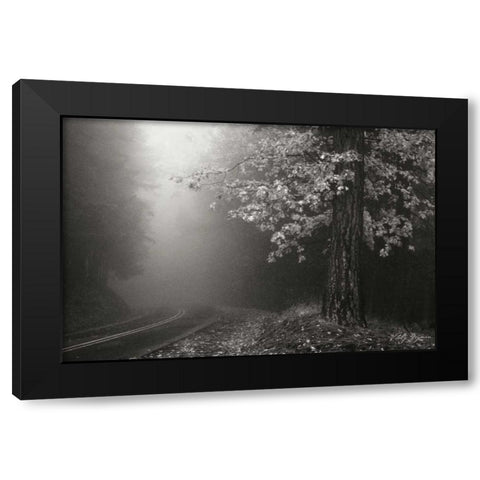 Misty Yellow Tree BandW Black Modern Wood Framed Art Print by Geyman, Vitaly