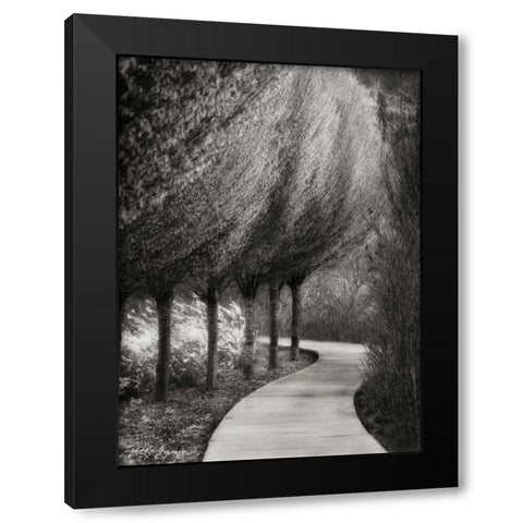 Evening Glow I BandW Black Modern Wood Framed Art Print by Geyman, Vitaly