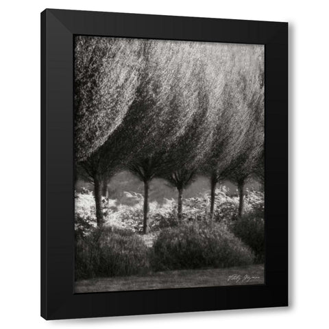 Evening Glow II BandW Black Modern Wood Framed Art Print with Double Matting by Geyman, Vitaly