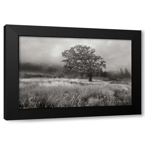 Field of Gold BandW Black Modern Wood Framed Art Print with Double Matting by Geyman, Vitaly