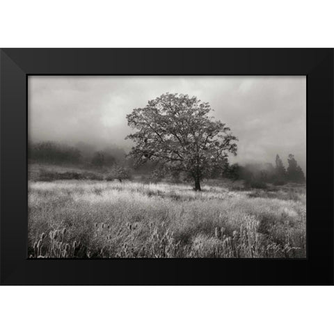 Field of Gold BandW Black Modern Wood Framed Art Print by Geyman, Vitaly