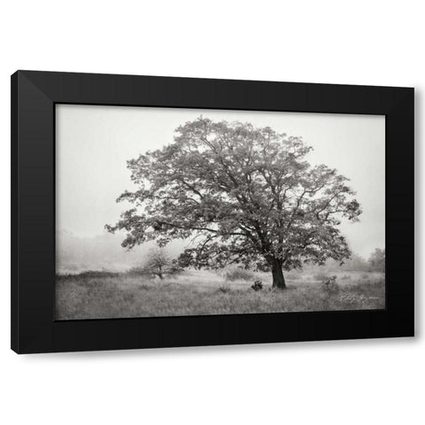 Burning Oak V BandW Black Modern Wood Framed Art Print with Double Matting by Geyman, Vitaly