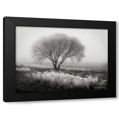 Tranquility I BandW Black Modern Wood Framed Art Print with Double Matting by Geyman, Vitaly