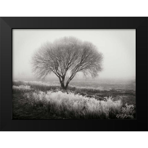 Tranquility I BandW Black Modern Wood Framed Art Print by Geyman, Vitaly