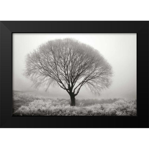 Tranquility II BandW Black Modern Wood Framed Art Print by Geyman, Vitaly