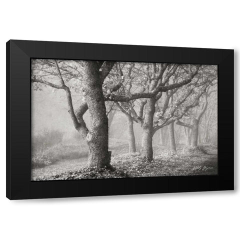Tree in the Mist BandW Black Modern Wood Framed Art Print with Double Matting by Geyman, Vitaly