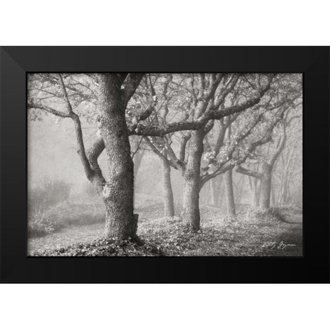 Tree in the Mist BandW Black Modern Wood Framed Art Print by Geyman, Vitaly