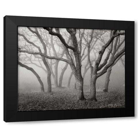 Misty Dance BandW Black Modern Wood Framed Art Print by Geyman, Vitaly