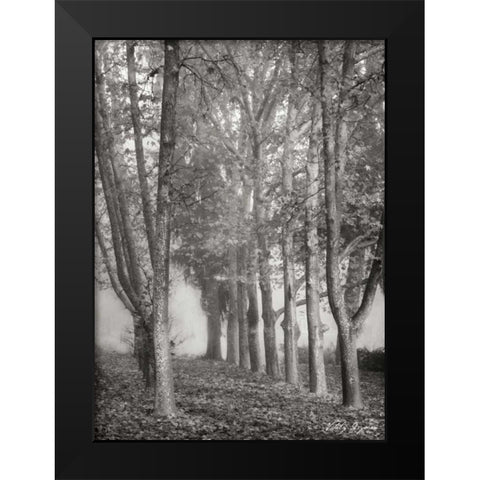 Tree Parade II BandW Black Modern Wood Framed Art Print by Geyman, Vitaly