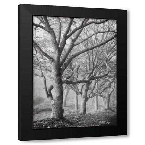 Tree in the Mist V BandW Black Modern Wood Framed Art Print with Double Matting by Geyman, Vitaly
