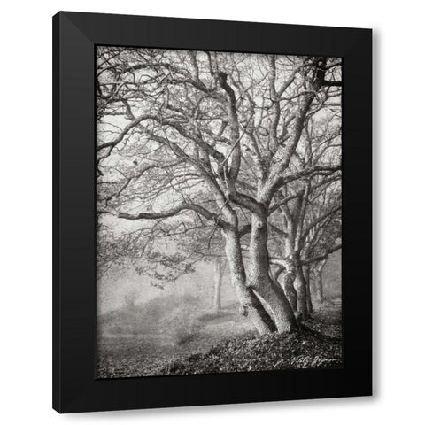 Tree in the Mist VI BandW Black Modern Wood Framed Art Print by Geyman, Vitaly