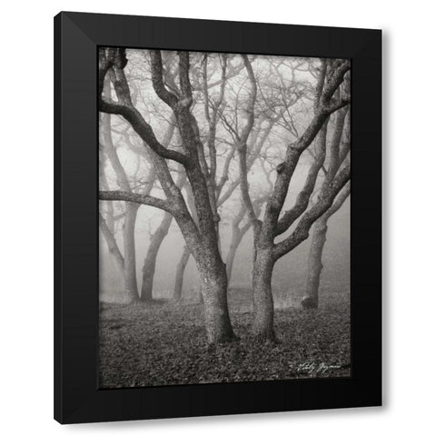 Misty Dance II BandW Black Modern Wood Framed Art Print by Geyman, Vitaly