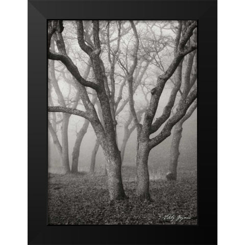 Misty Dance II BandW Black Modern Wood Framed Art Print by Geyman, Vitaly