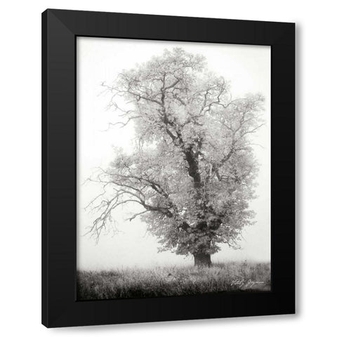 Misty Oak I BandW Black Modern Wood Framed Art Print by Geyman, Vitaly