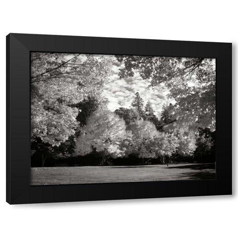 Fall Maple Fever V BandW Black Modern Wood Framed Art Print by Geyman, Vitaly
