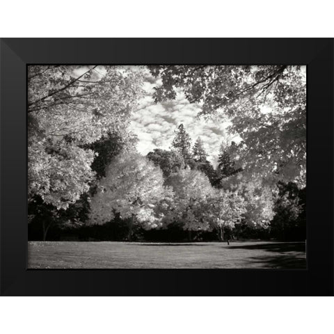 Fall Maple Fever V BandW Black Modern Wood Framed Art Print by Geyman, Vitaly