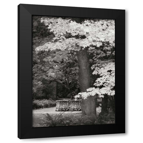 Fall Maple Fever XI BandW Black Modern Wood Framed Art Print with Double Matting by Geyman, Vitaly