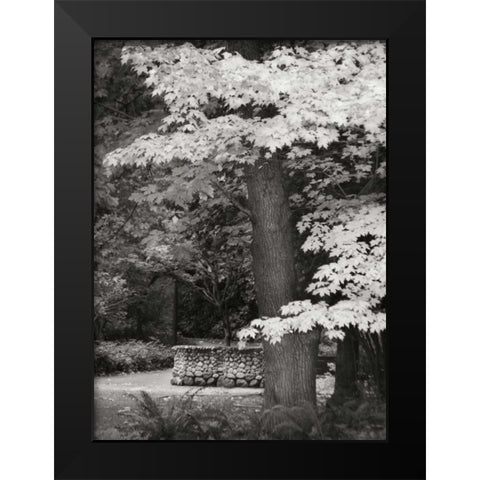 Fall Maple Fever XI BandW Black Modern Wood Framed Art Print by Geyman, Vitaly