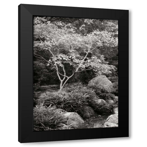Japanese Park I BandW Black Modern Wood Framed Art Print with Double Matting by Geyman, Vitaly