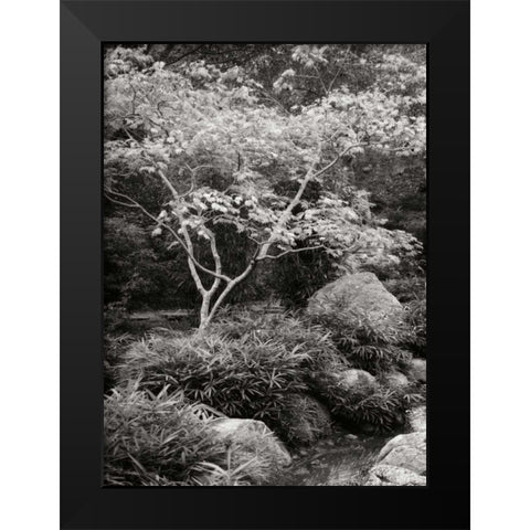 Japanese Park I BandW Black Modern Wood Framed Art Print by Geyman, Vitaly