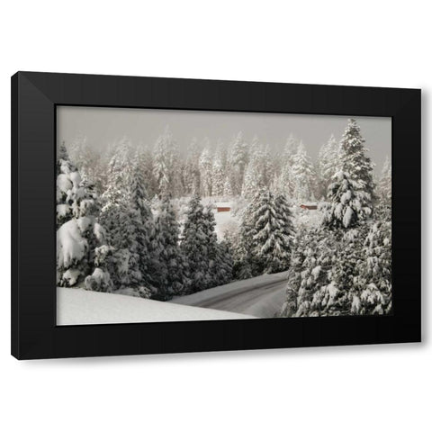 Mt. Ashland Rd Black Modern Wood Framed Art Print by Geyman, Vitaly