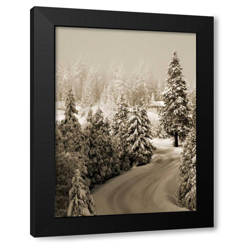 Mt. Ashland Rd II Black Modern Wood Framed Art Print by Geyman, Vitaly