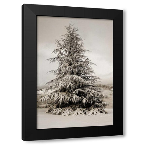 Snow White Pine Black Modern Wood Framed Art Print with Double Matting by Geyman, Vitaly